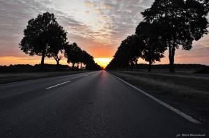 Road to Sun   