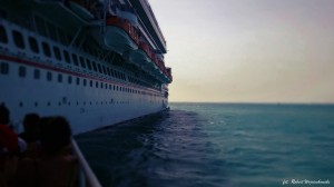 Carnival Magic                       